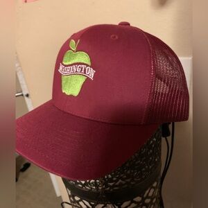 Washington Apple SnapBack hat